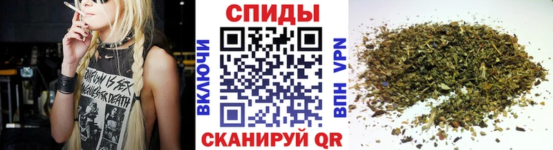 мориарти наркотические препараты купить Ардон Бутират буратино